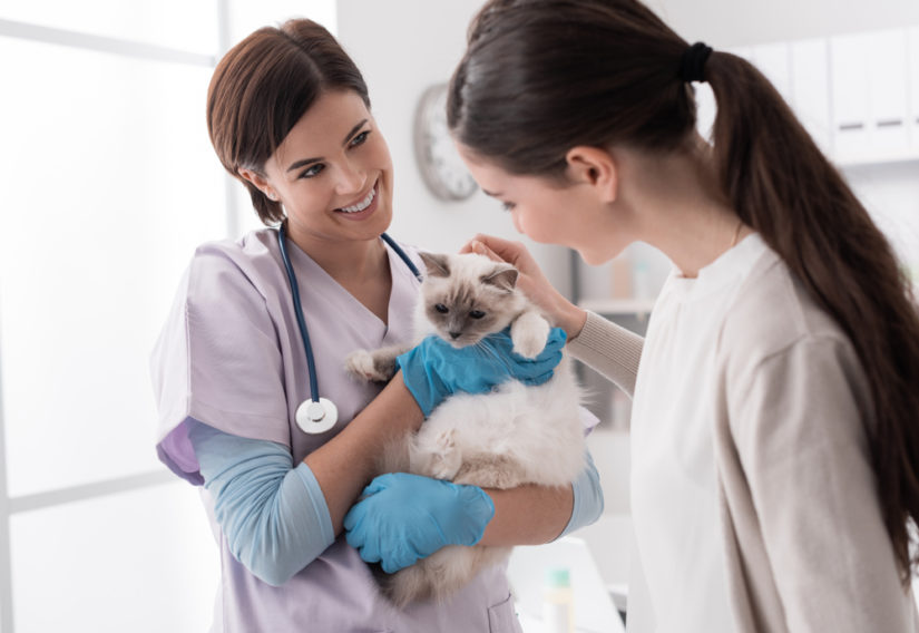 Veterinarians